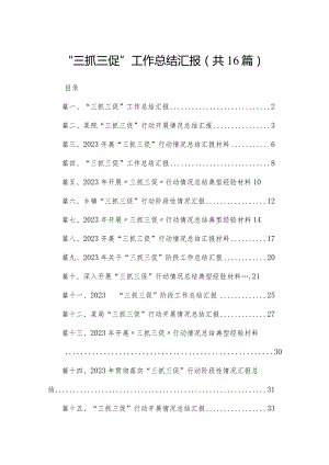 “三抓三促”工作总结汇报精选（参考范文16篇）.docx