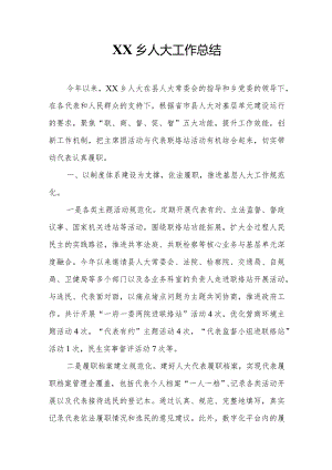 XX乡人大工作总结.docx