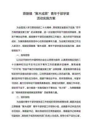 霖磐镇“聚木成霖”青年干部学堂活动实施方案.docx