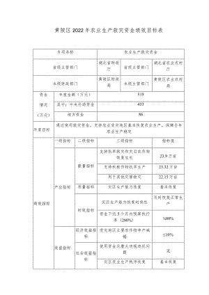 黄陂区2022年农业生产救灾资金绩效目标表.docx