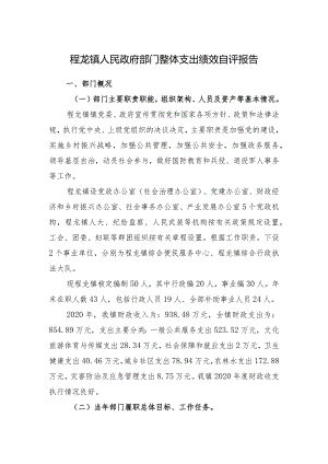 程龙镇人民政府部门整体支出绩效自评报告.docx