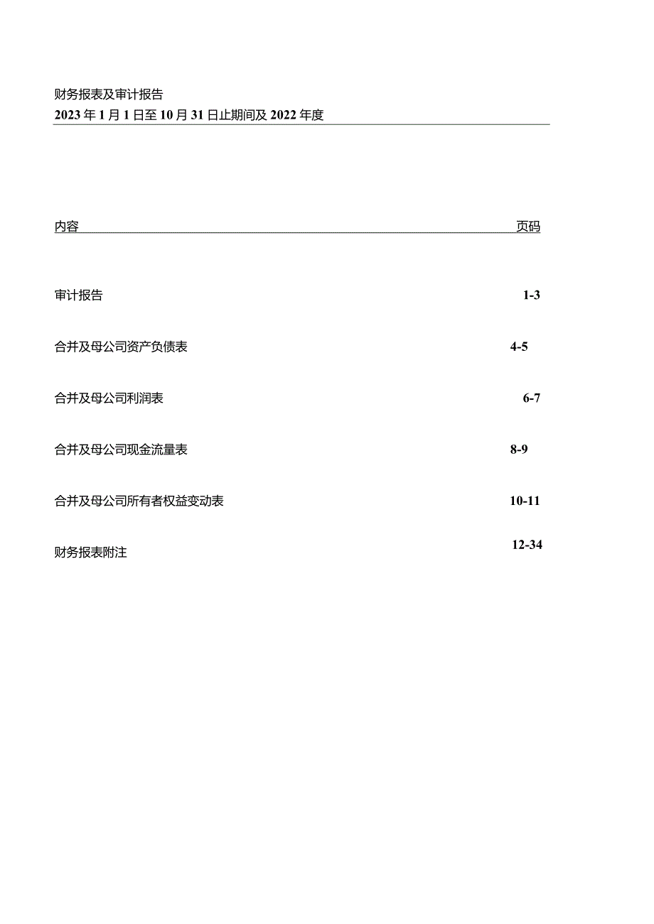 中洲控股：青岛市中洲地产有限公司审计报告.docx_第2页