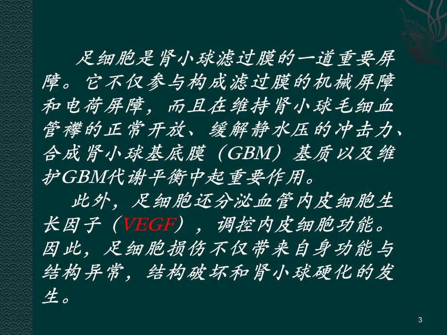 免疫性局灶节段性肾小球硬化病.ppt_第3页