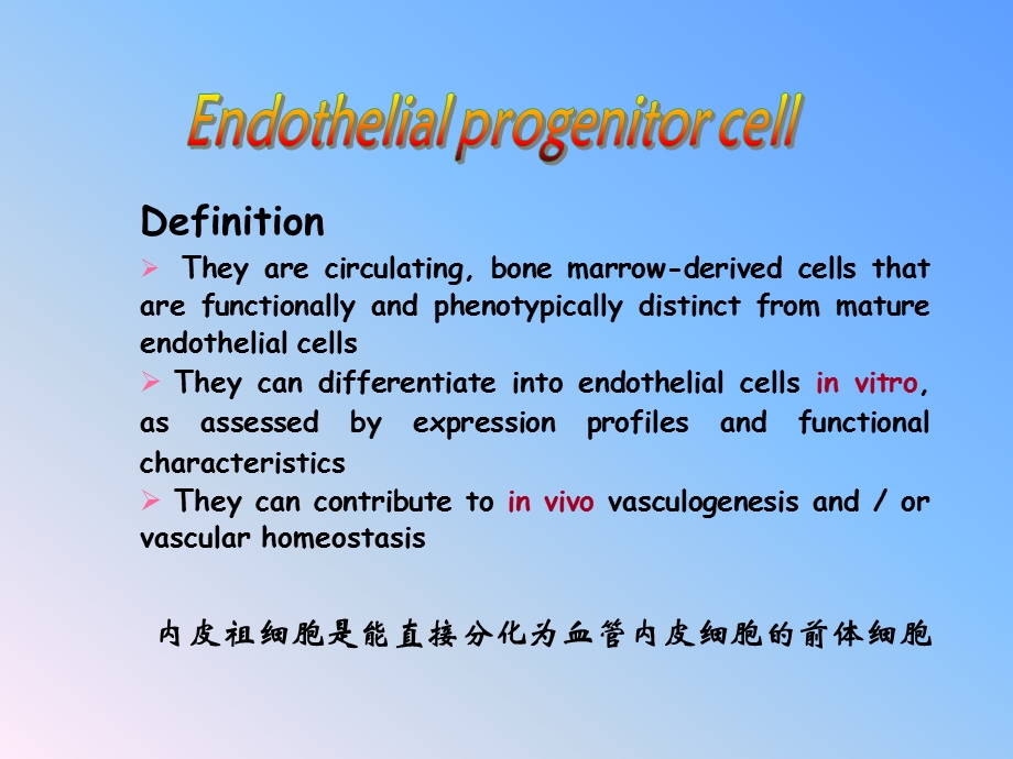 内皮祖细胞的研究进展.ppt_第2页