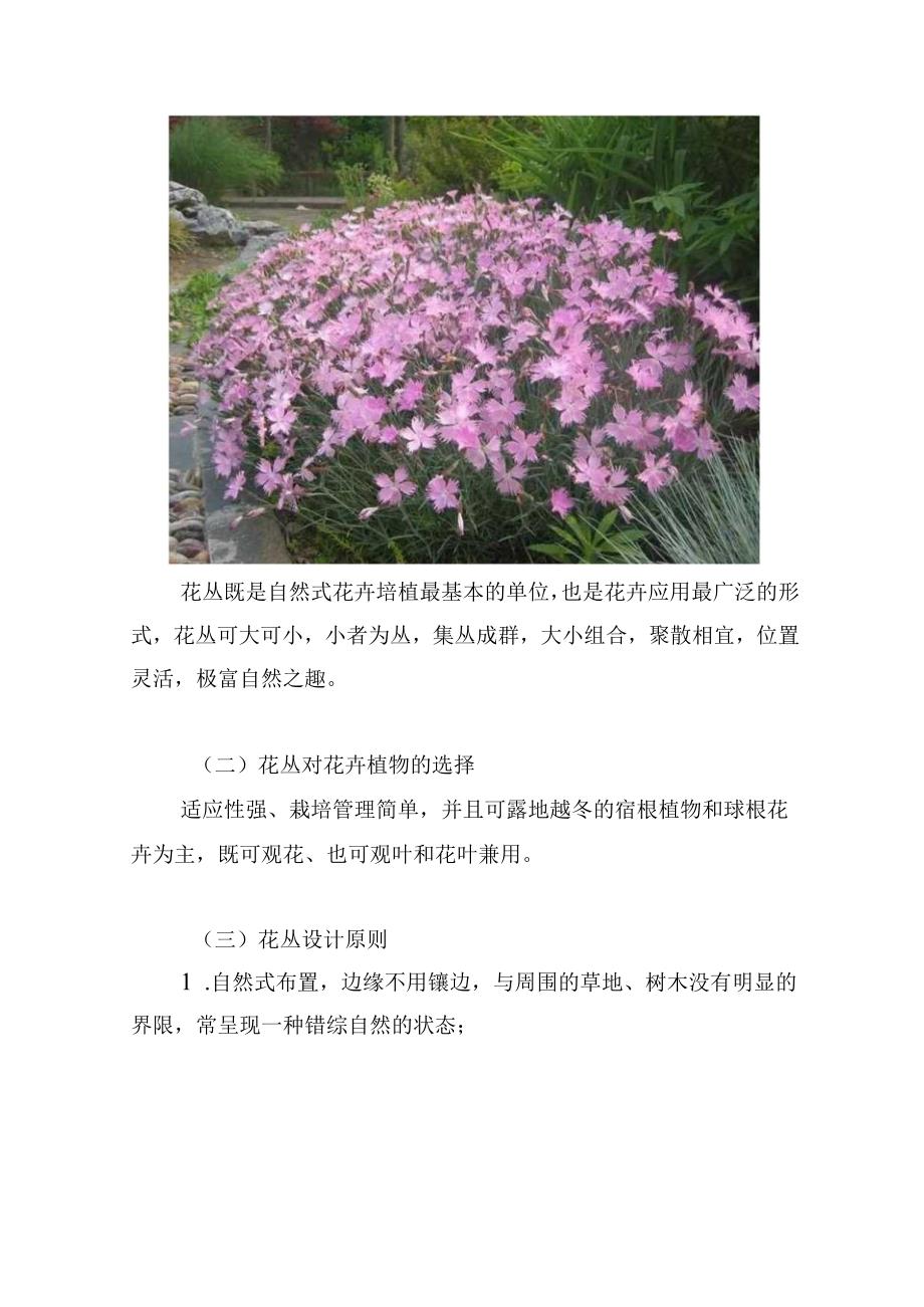 花卉造景设计方案.docx_第2页