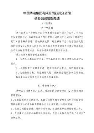 (5.13)中国华电集团有限公司四川分公司债务融资管理办法(讨论）.docx