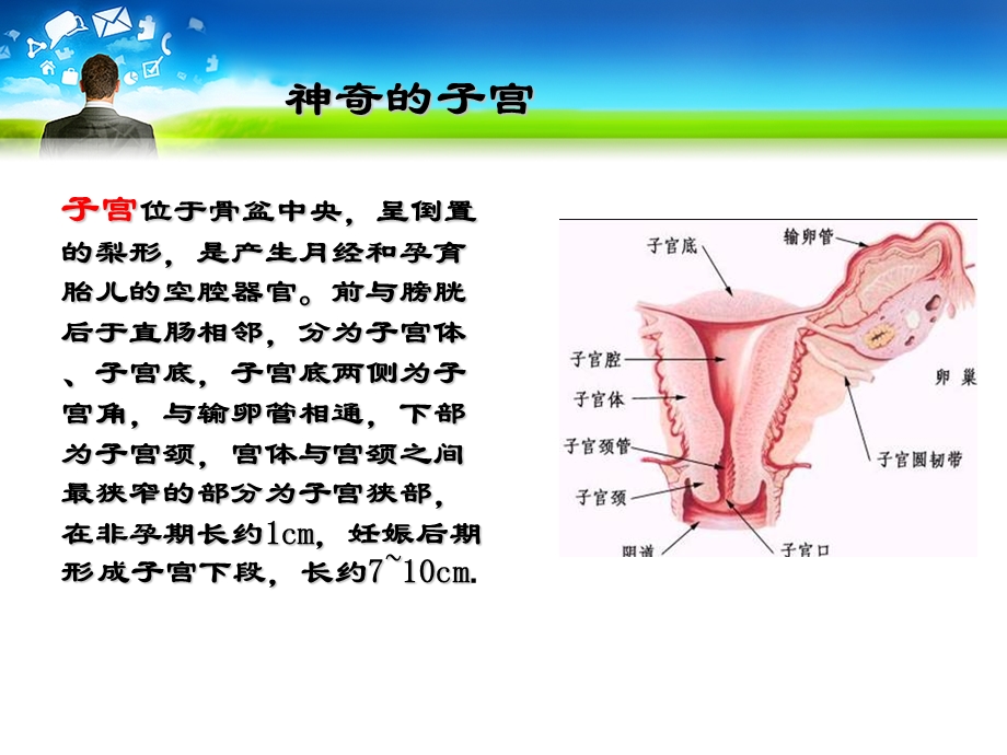 剖宫产手术的护理配合.ppt_第3页