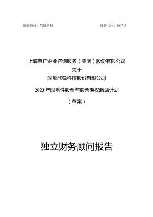 欣锐科技：上海荣正企业咨询服务（集团）股份有限公司关于深圳欣锐科技股份有限公司2023年限制性股票与股票期权激励计划（草案）之财务顾问报告.docx