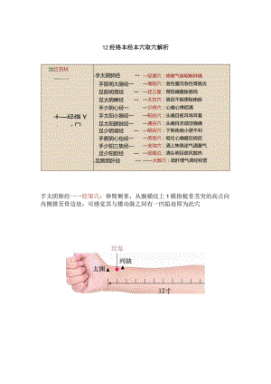 12经络本经本穴取穴解析.docx