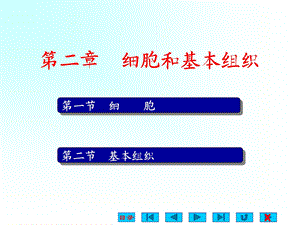 人体解剖生理学 第2章 细胞和基本组织.ppt