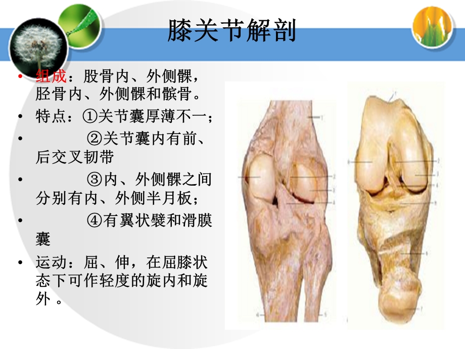 人工膝关节置换术.ppt.ppt_第3页