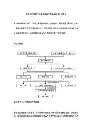 老年社区获得性肺炎急诊诊疗意见2024（附图）.docx