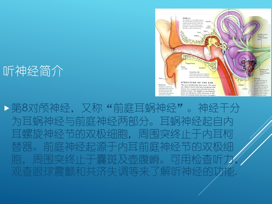 听神经瘤诊断.ppt_第2页