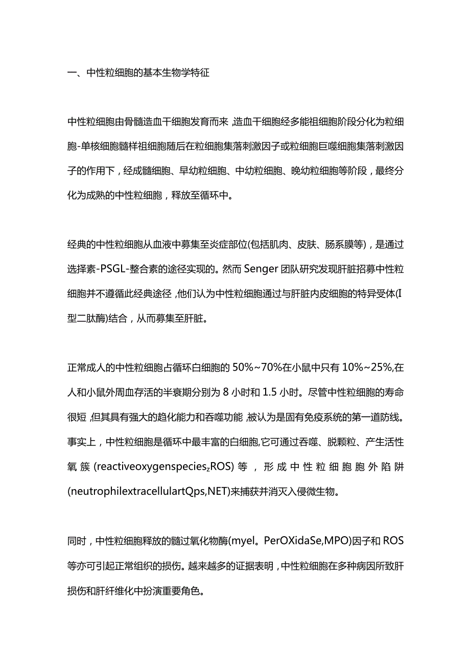 2024中性粒细胞在肝纤维化中的作用.docx_第2页