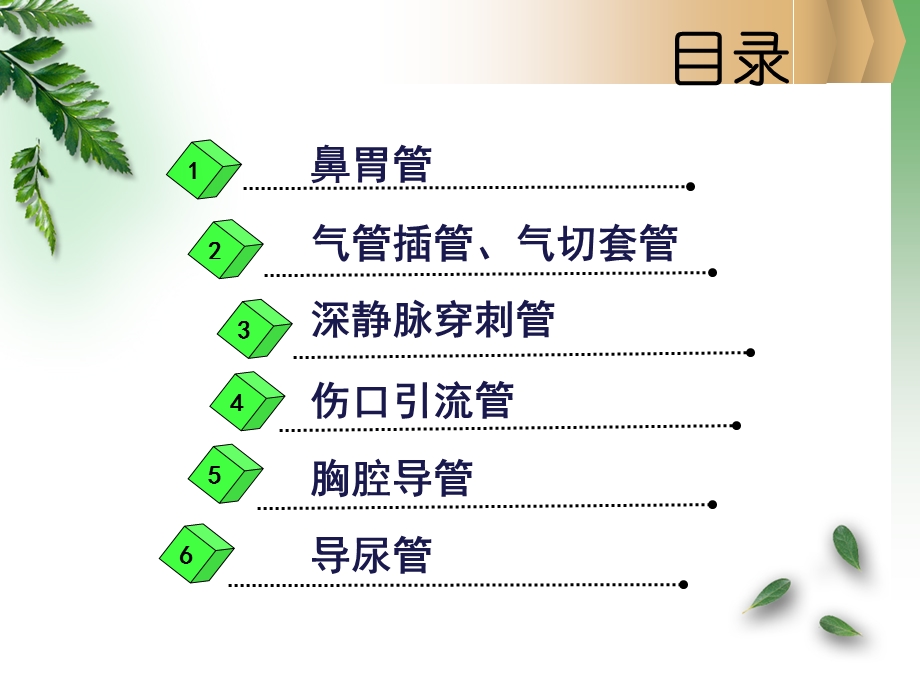 各类导管的护理.ppt.ppt_第2页