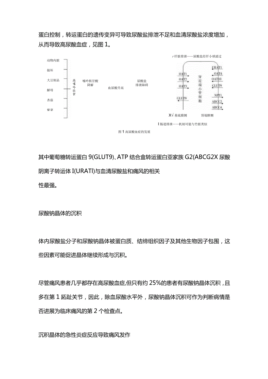 2024痛风急性发作药物选择的治疗.docx_第2页