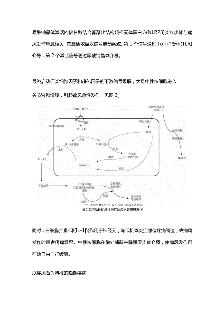 2024痛风急性发作药物选择的治疗.docx_第3页