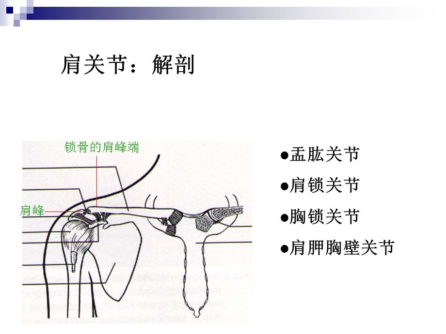 五大关节松动术.ppt.ppt_第2页