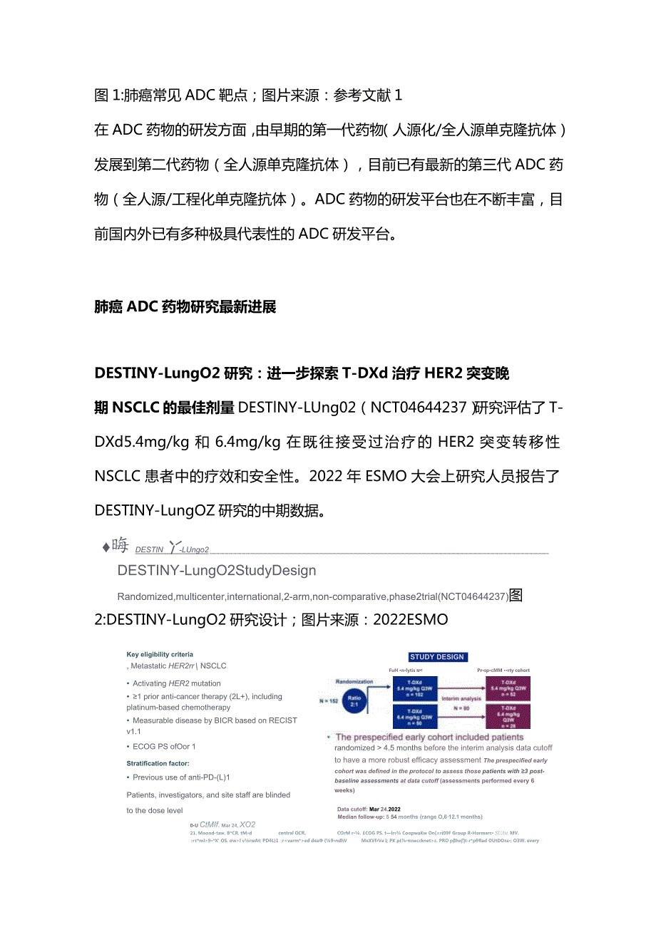 2024肺癌ADC 药物研究进展和毒副管理建议.docx_第2页