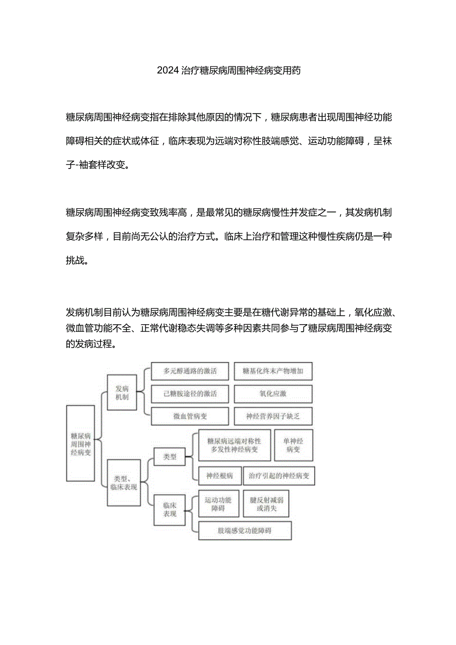 2024治疗糖尿病周围神经病变用药.docx_第1页