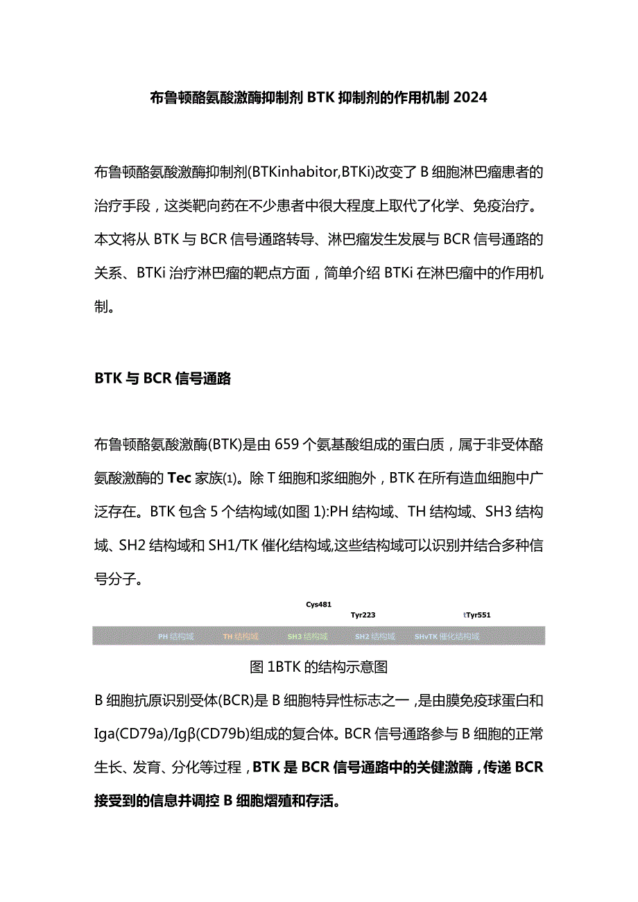 布鲁顿酪氨酸激酶抑制剂BTK抑制剂的作用机制2024.docx_第1页