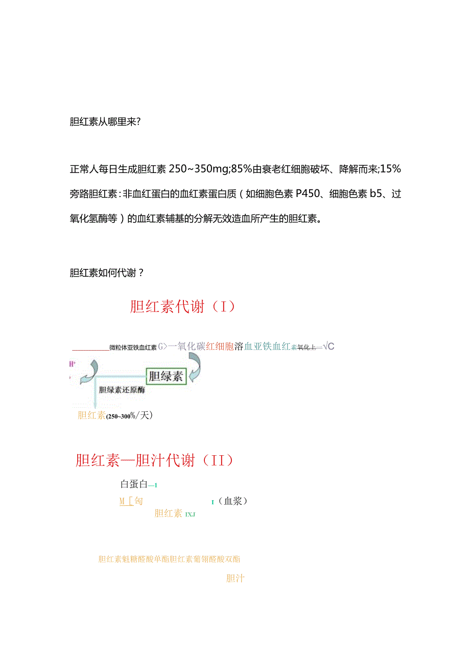 2024胆红素知识科普.docx_第1页