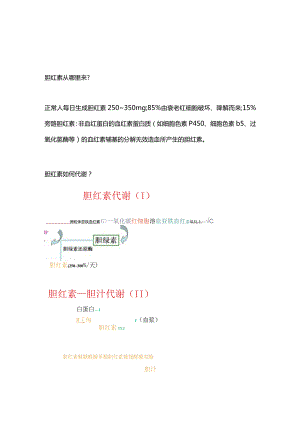 2024胆红素知识科普.docx