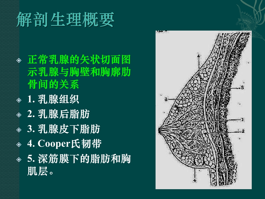 乳房疾病.ppt_第2页