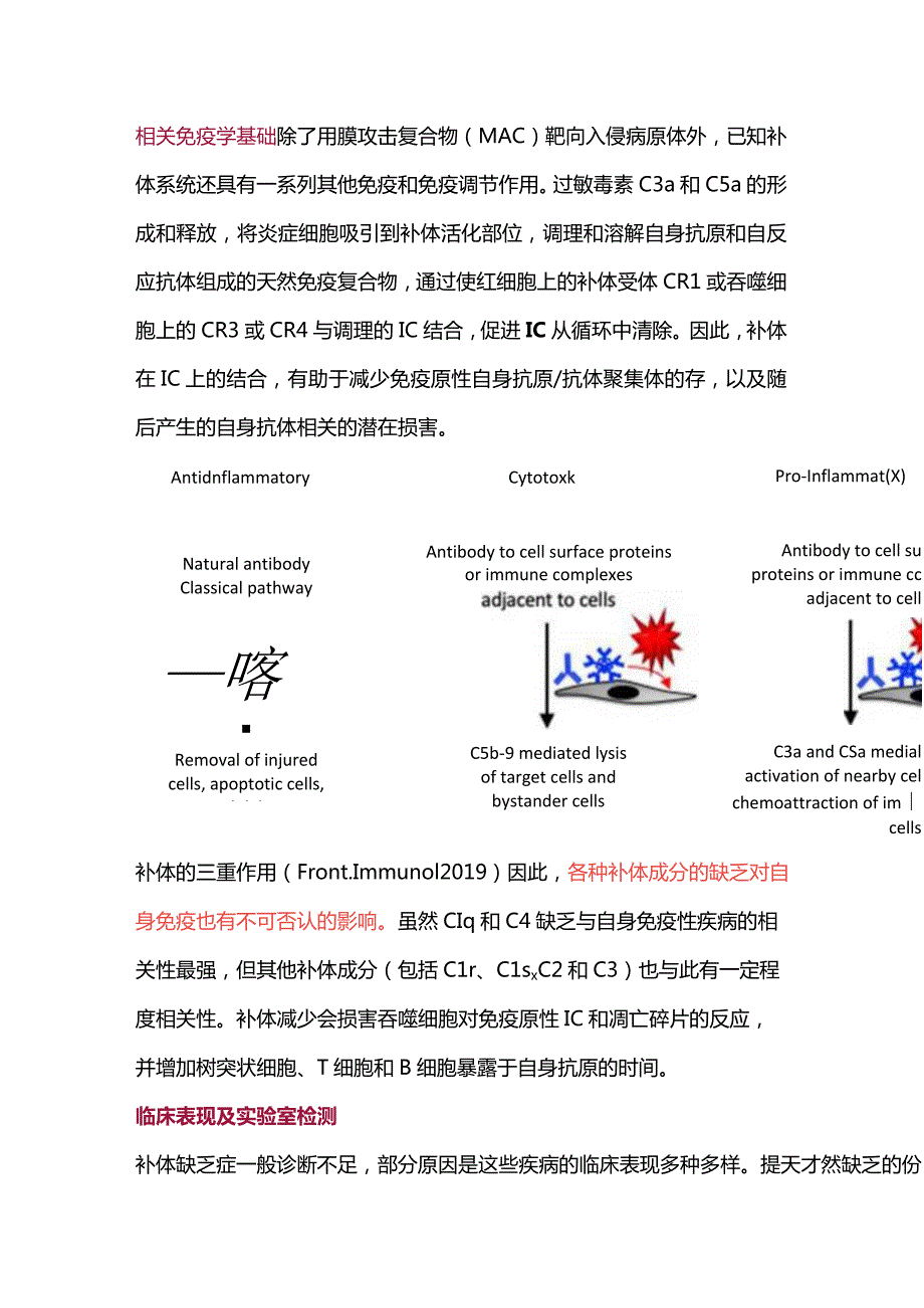 2024补体缺乏介导的自身免疫性疾病.docx_第3页