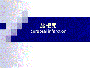 医院神经内科脑梗死专题讲座PPT.ppt.ppt