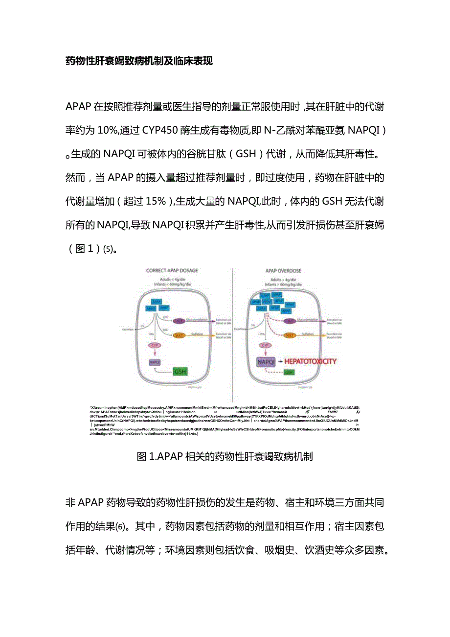 药物性肝衰竭的诊治进展2023.docx_第2页