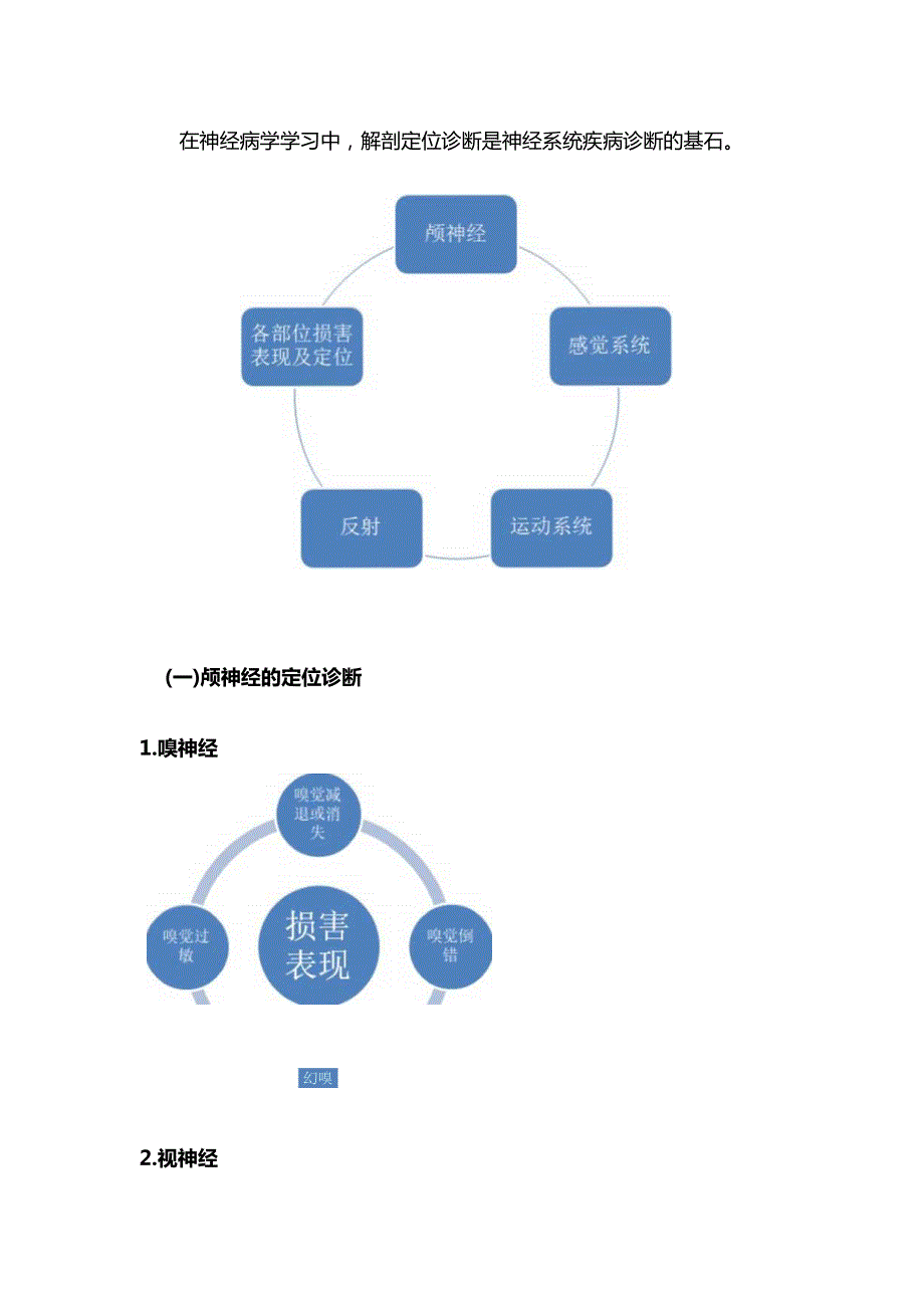 2024神经系统疾病定位诊断.docx_第3页