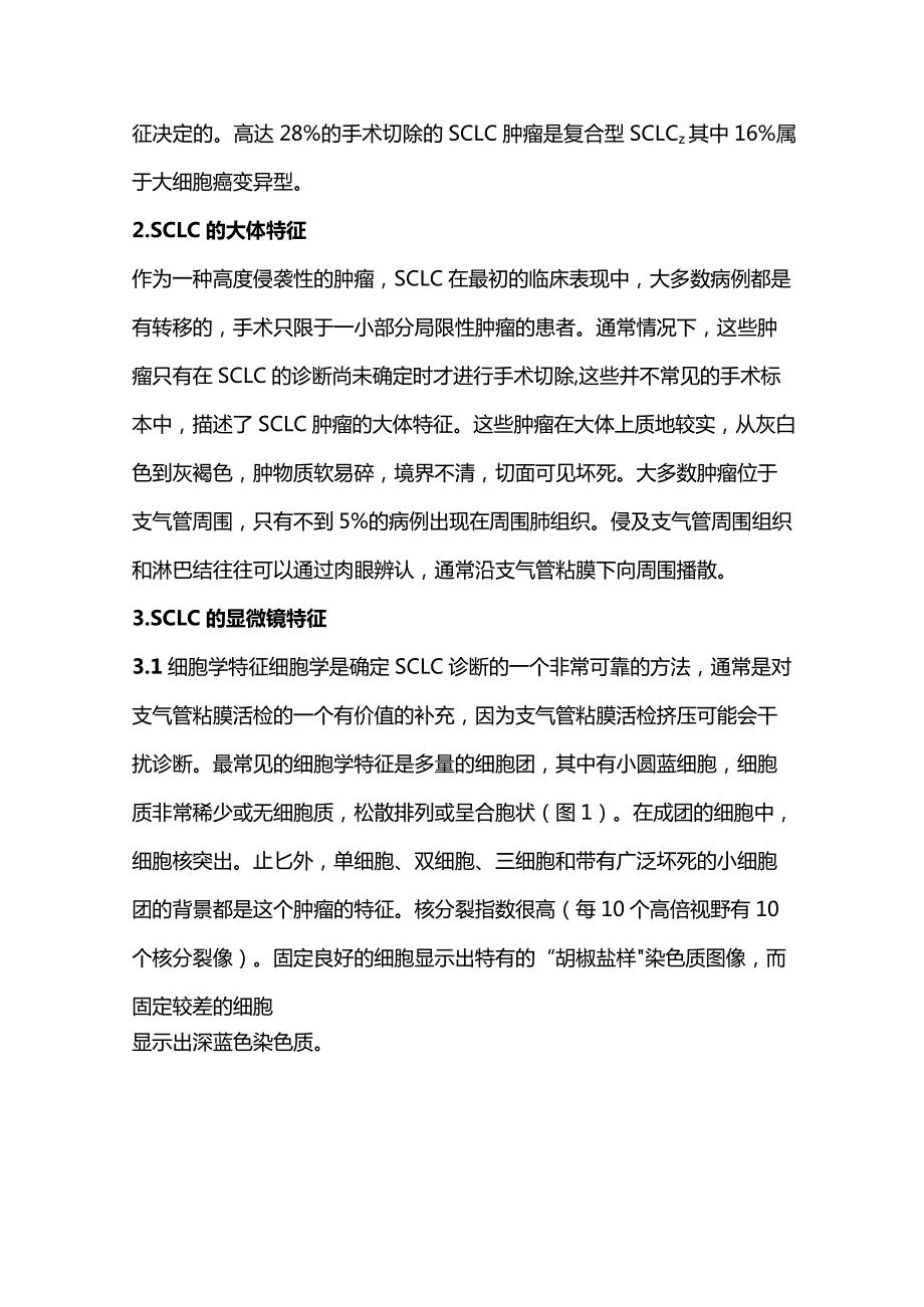 2024小细胞肺癌病理诊断要点.docx_第2页