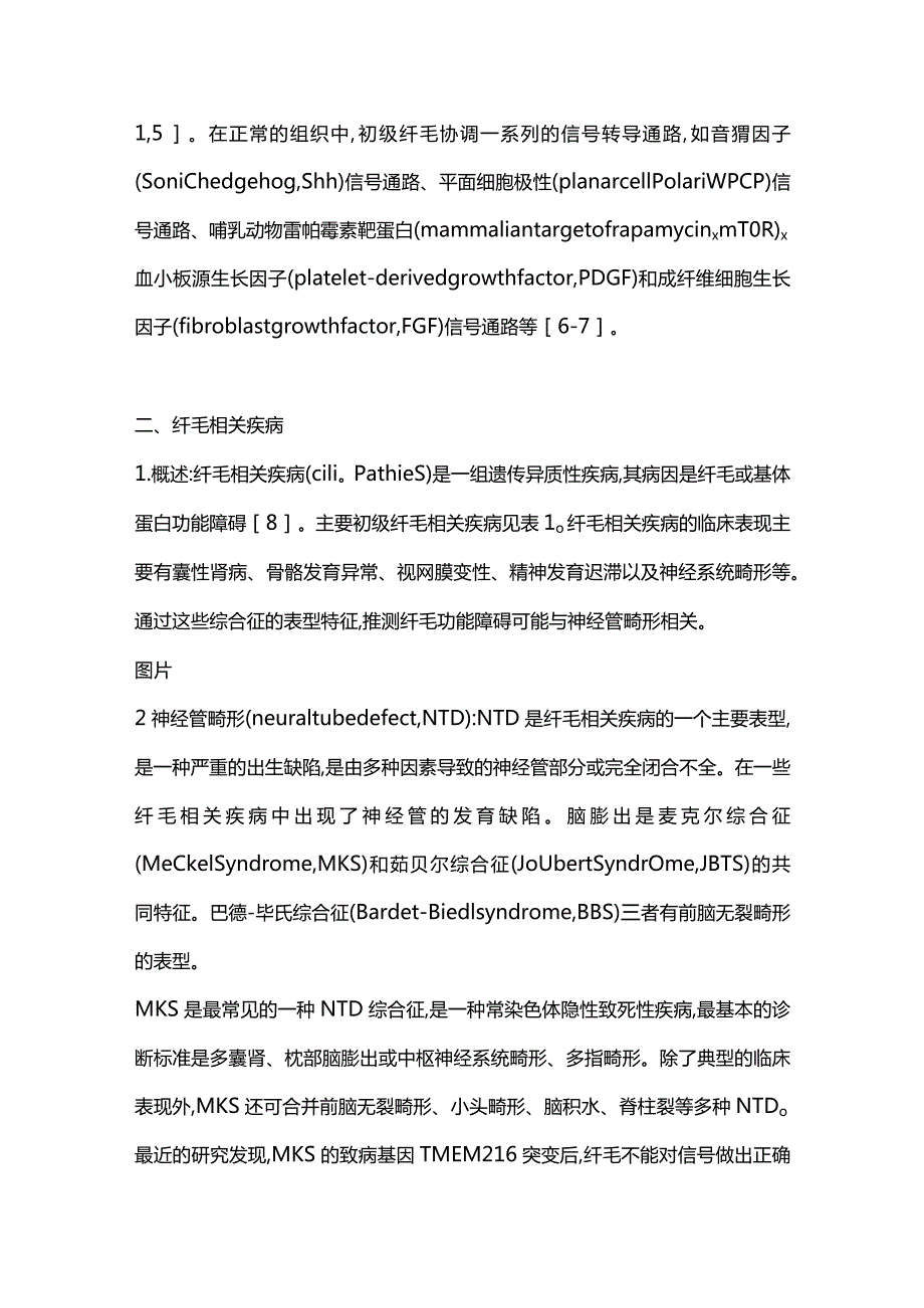 初级纤毛与神经管畸形的相关性研究进展2023.docx_第2页