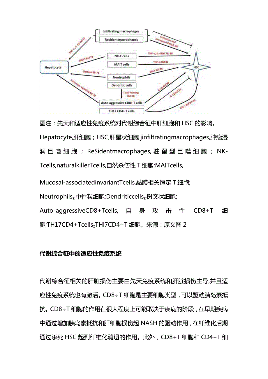 2024代谢综合征中肝纤维化的机制（附图）.docx_第3页