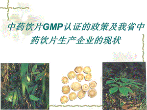 中药饮片GMP认证的政策.ppt