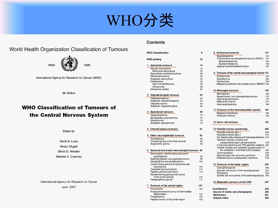 中枢神经系统肿瘤的WHO分类及影像学诊断（一） .ppt_第2页