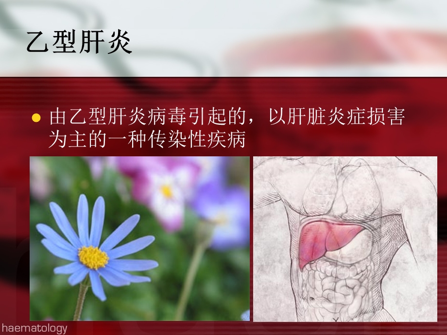 乙肝免疫预防培训.ppt_第2页