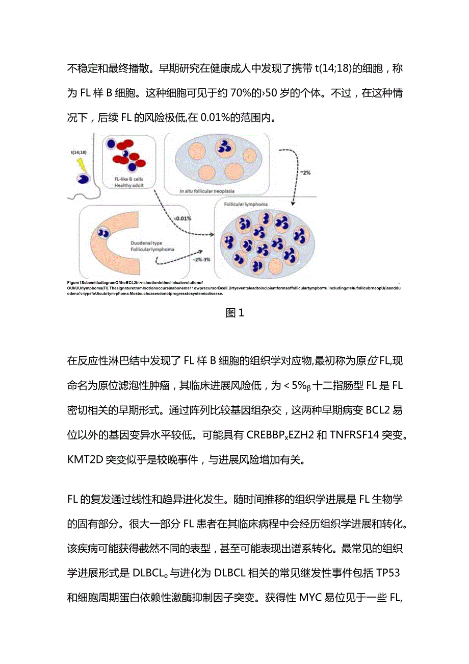 2024基因检测助力滤泡性淋巴瘤和弥漫性大B细胞淋巴瘤精准诊疗.docx_第3页