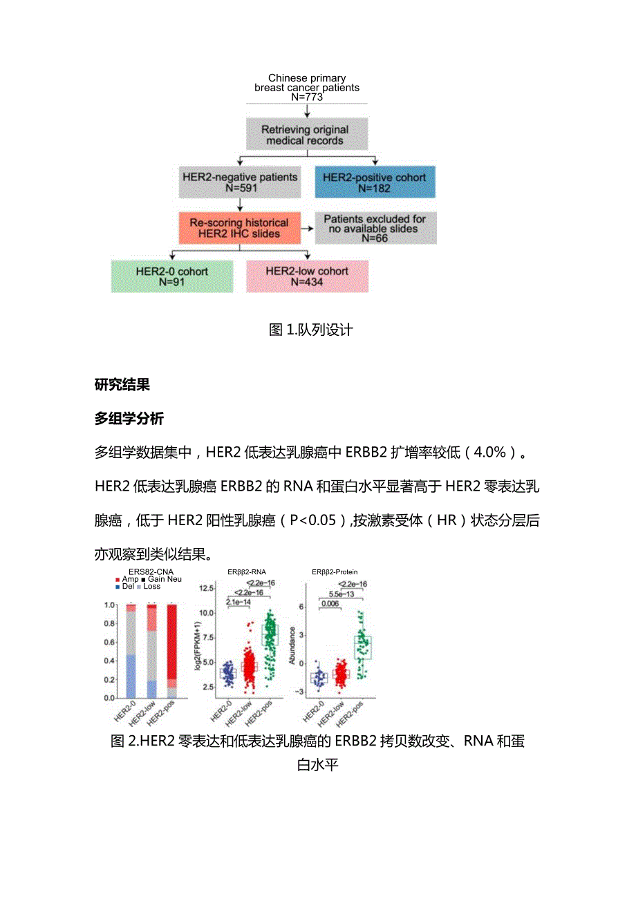 2023中国HER2低表达乳腺癌分子特征和临床意义.docx_第2页