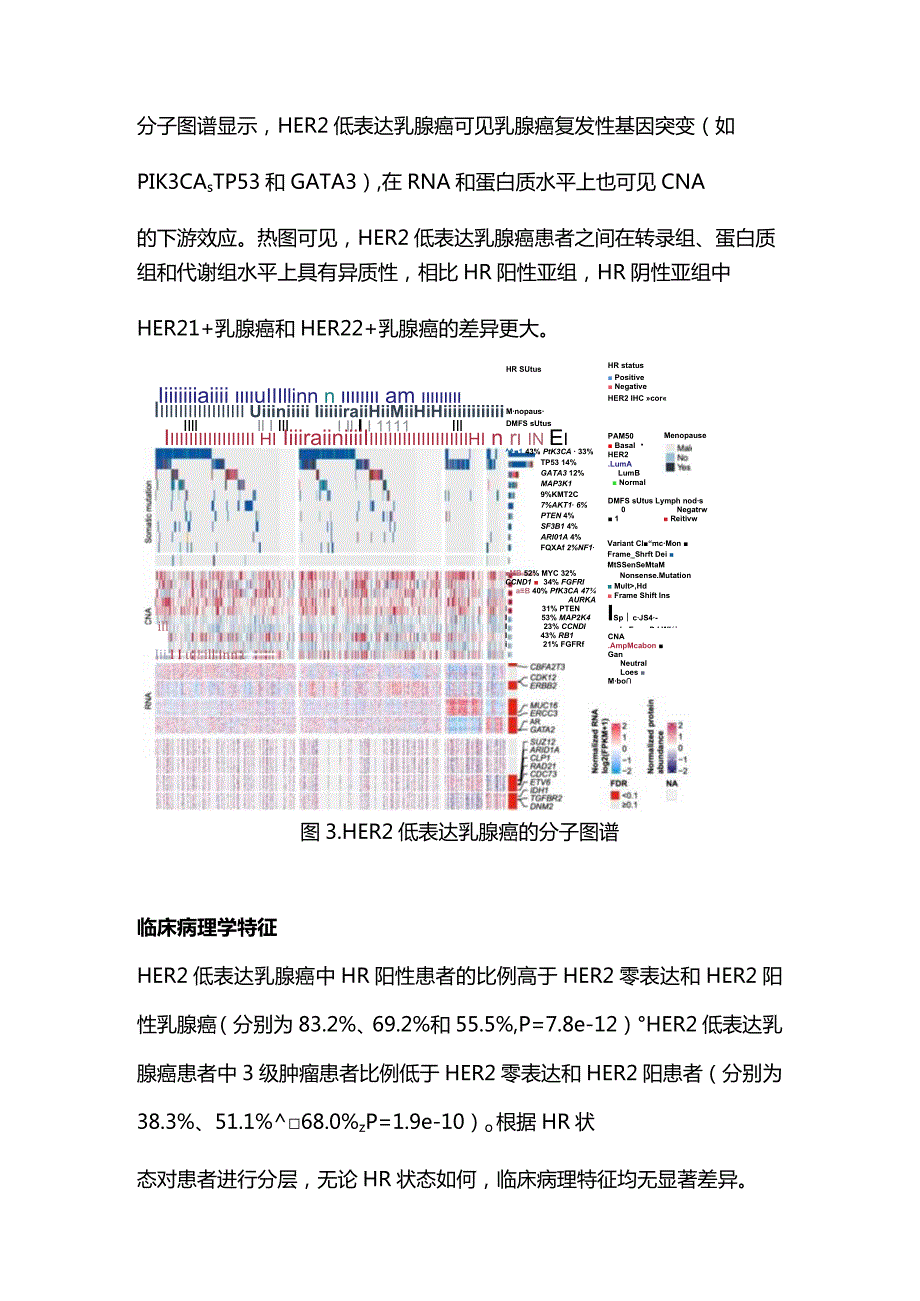 2023中国HER2低表达乳腺癌分子特征和临床意义.docx_第3页