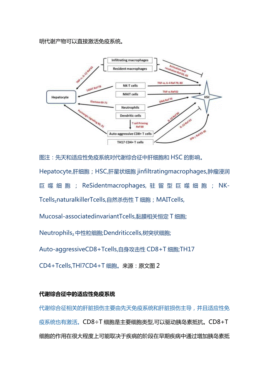 2024代谢综合征中肝纤维化的机制.docx_第3页