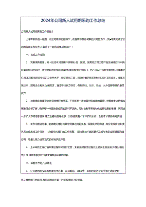 2024年公司新人试用期采购工作总结.docx