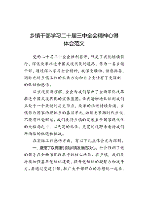 乡镇干部学习三中全会精神心得体会研讨发言材料.docx