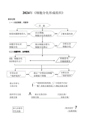 2024年细胞分化形成组织课堂教学过程流程图.docx