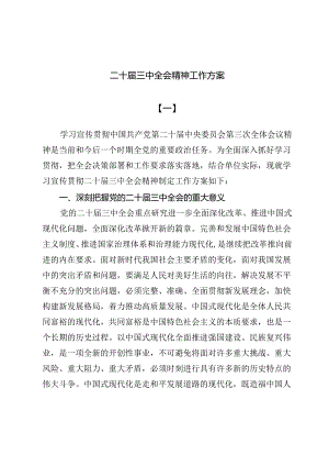 (七篇)二十届三中全会精神工作方案.docx