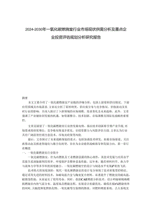 2024-2030年一氧化碳燃烧室行业市场现状供需分析及重点企业投资评估规划分析研究报告.docx