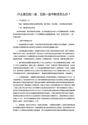 五险一金指什么.docx