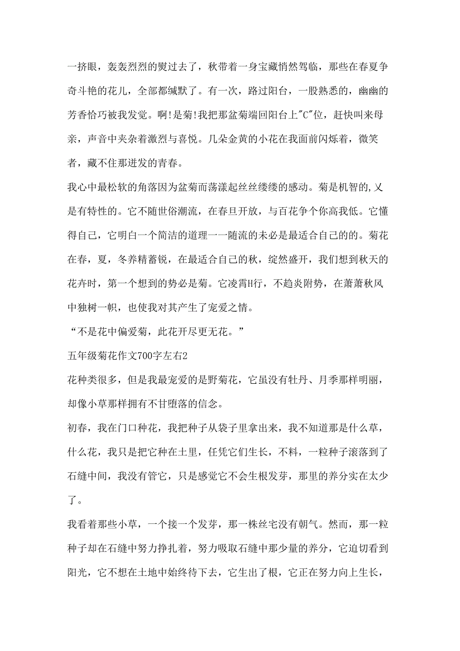 五年级菊花作文700字左右.docx_第2页