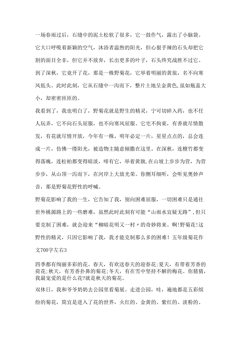 五年级菊花作文700字左右.docx_第3页